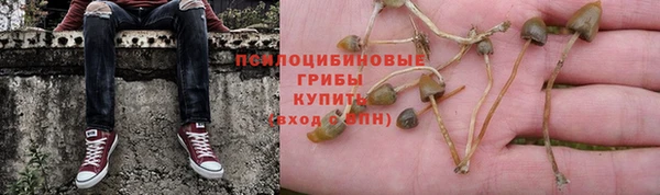 эйфоретик Алзамай