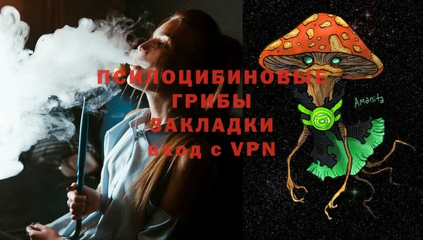 эйфоретик Алзамай