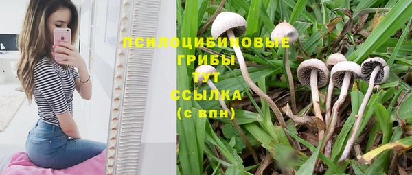 эйфоретик Алзамай
