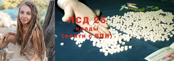 эйфоретик Алзамай