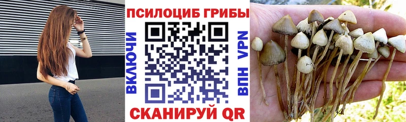 ссылка на мегу ссылки  Нарткала  Псилоцибиновые грибы Cubensis  магазин продажи наркотиков 