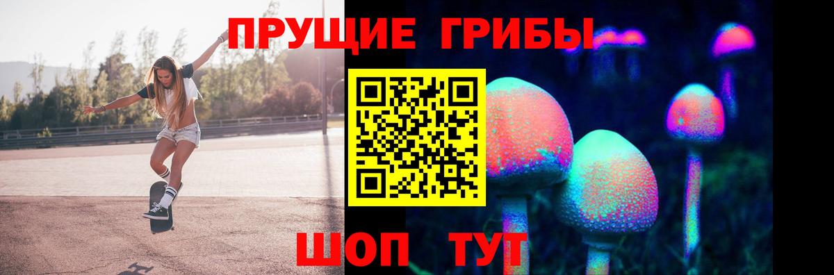 Галлюциногенные грибы Psilocybine cubensis Нарткала